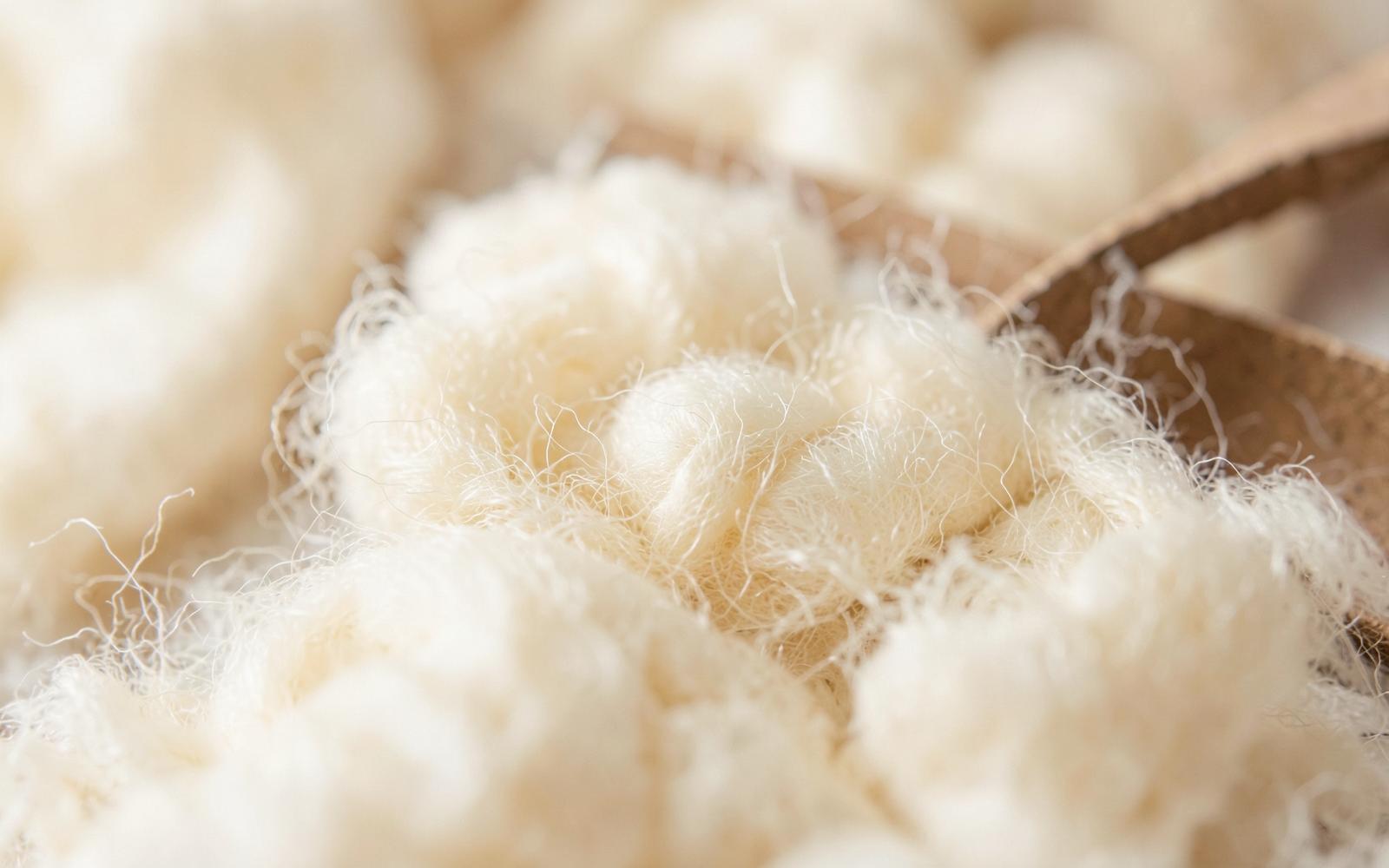 Macro photograph of organic cotton fiber